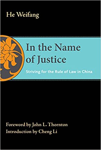 In the Name of Justice book cover